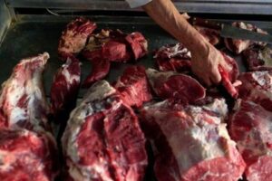 viande 1