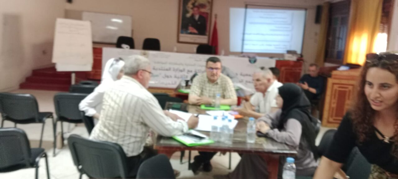 الخميسات: لقاء تكويني حول العرائض والمشاركة المواطنة لفائدة جمعيات المجتمع المدني 7 1000252318