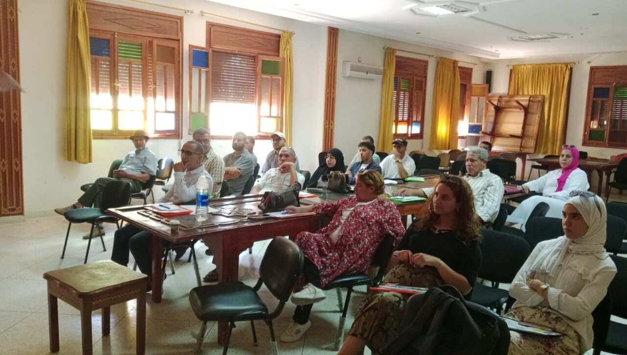 الخميسات: لقاء تكويني حول العرائض والمشاركة المواطنة لفائدة جمعيات المجتمع المدني 8 1000252319