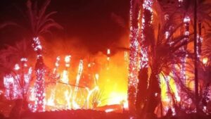 503813262 9987024741389819 8733830170774122442 n