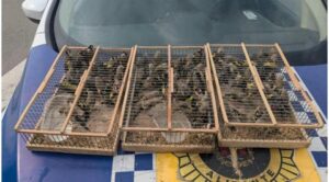 IMG 20250606 WA0047 1