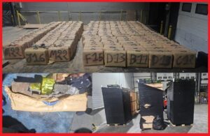 IMG 20250617 WA00341