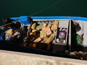 IMG 20250624 WA0014