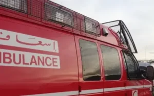 IMG 20250526 172226 800 x 500 pixel