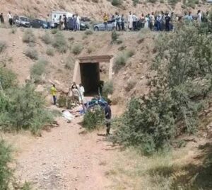 WhatsApp Image 2025 06 08 at 13.18.59