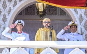 IMG 20250731 153153 800 x 500 pixel