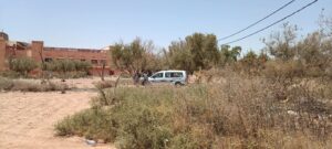 1000304068 3 1000304068