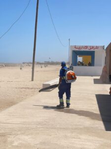 1000638768 3 1000638768