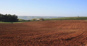 20c004c2a758381f29bba445a30ec53f20200730160557