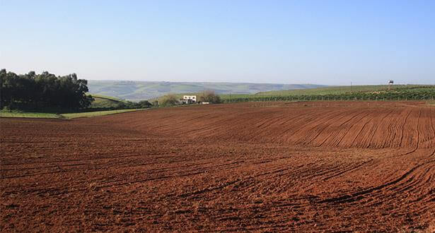 ميدلت.. قبيلة تحتج على إدراج أراضيها ضمن "أراضي جموع" وبووانو يطالب بتوضيح من الداخلية 1 20c004c2a758381f29bba445a30ec53f20200730160557