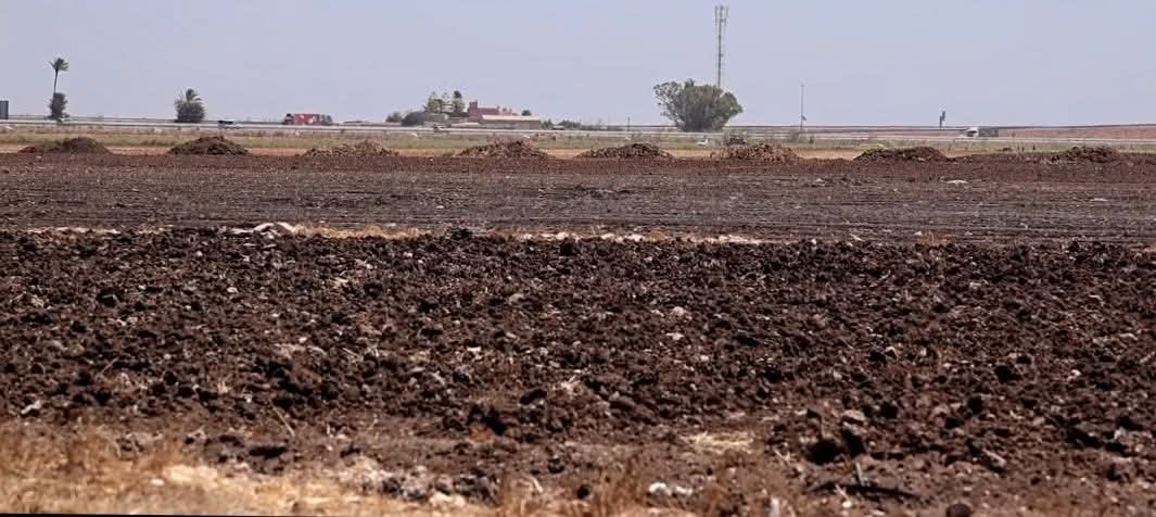 برشيد: روائح كريهة لفضلات الدواجن تثير غضب السكان ومطالب بتدخل السلطات الاقليمية 1 IMG 20250831 WA0072