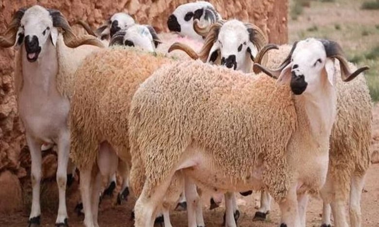 c7dcdf7bd7962ea1c8ae98ed67baa538