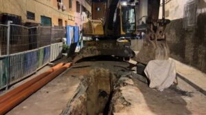 1000341519 3 1000341519