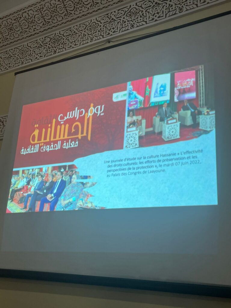 العيون: وفد من منظمات دولية يشيد بالتقدم التنموي والحقوقي في الأقاليم الجنوبية 8 1000344355