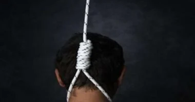 18e46a9e53494a3bc81a44031da184d2