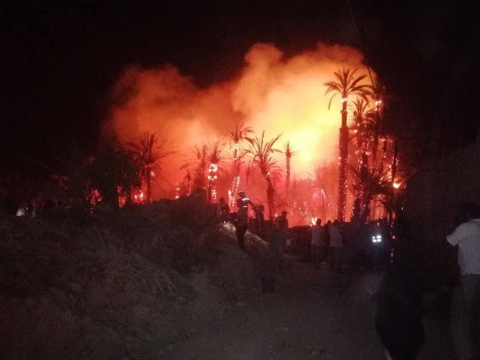 398ad99a636d606b71fea2d0136a7989