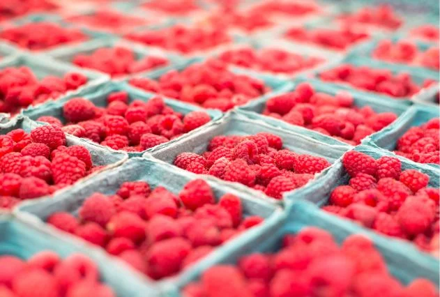 5051648845a541f39990f28c6cccce5e