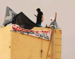 IMG 20250905 WA01411