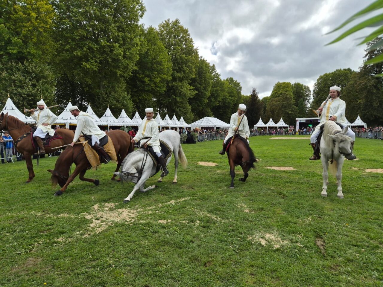 e9dd4a54 6ecb 469c a9f3 2953c697e0b7