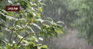 gettyimages 898238970 b5ccea5a 1