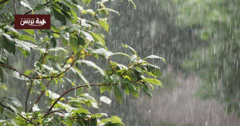 gettyimages 898238970 b5ccea5a 1