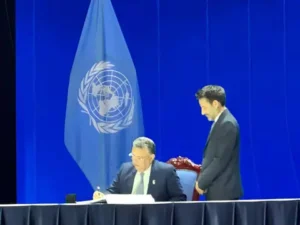 68fcb3f54e4a4 668x501 2 1024x768 1