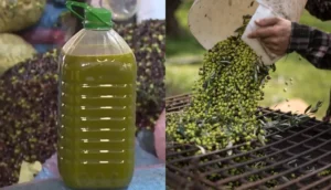 994d0ab25f8e6629c58d98ad68e17076