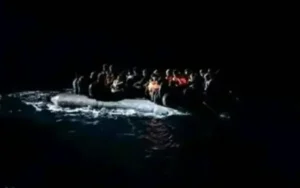 IMG 20251017 091355 800 x 500 pixel