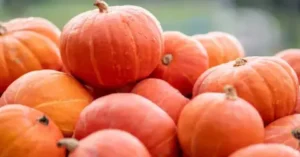 f26ec7016f11cadc2c32a10ae10b6aea