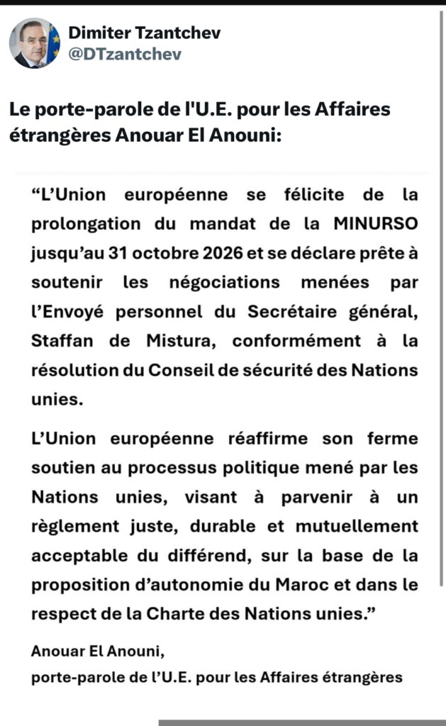 الاتحاد الأوروبي: المقترح المغربي للحكم الذاتي يشكل الأساس الواقعي لتسوية قضية الصحراء 2 1000371184