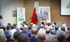 1000382619 3 1000382619