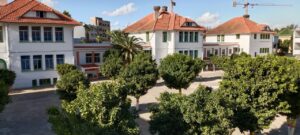 1000383549 3 1000383549