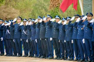 1000386730 3 1000386730