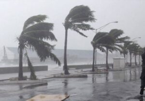 15DCF996 0267 42B6 96CD 8AF2C91784BF 1