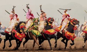 1a3cd1e6e4c1f5fd16fed85591dacc0f