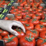 3 74n449qlxalzhkev51xg574mqjd71pjt7v0zdvif4ev