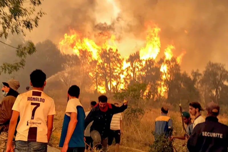 من أشعل حرائق الجزائر؟… النار التي تحرق الغابات وتكشف هشاشة النظام 1 algerie feu foret