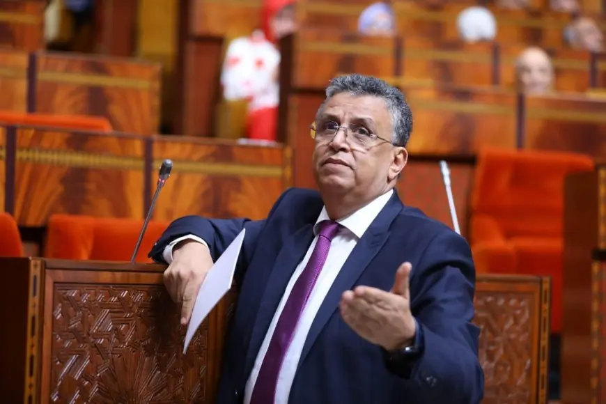 وهبي يكشف تفاصيل مشروع القانون التنظيمي المتعلق بالمحكمة الدستورية 1