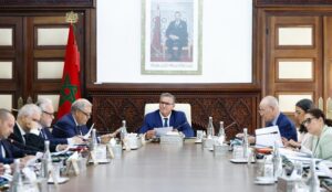 whatsapp image 2025 09 11 at 144016