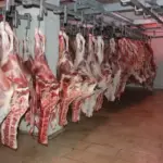 645916f8ac6d0 1024x683 1