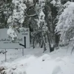 74d8ec08 3827 498c 8346 5ea776cd1c7f 1024x768 1