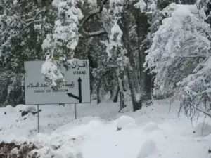 74d8ec08 3827 498c 8346 5ea776cd1c7f 1024x768 1