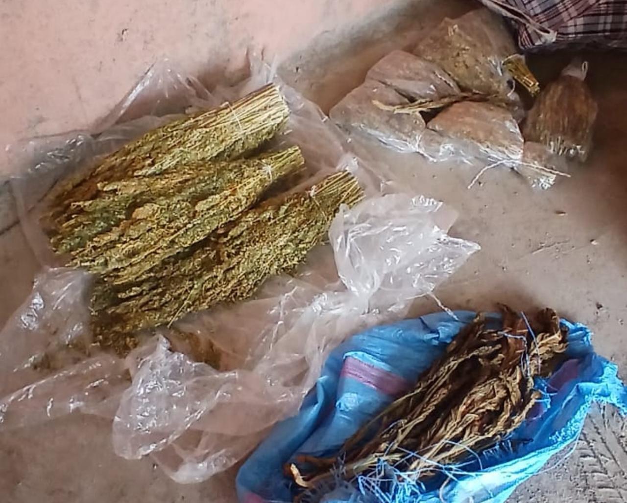 درك الأوداية يداهم ضيعة فلاحية ويحجز كميات مهمة من الكيف والطابا بدوار أولاد عثمان 1 IMG 20251215 WA0070