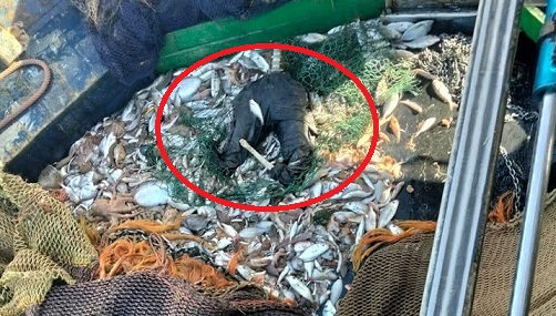 1 IMG 20251218 WA0000