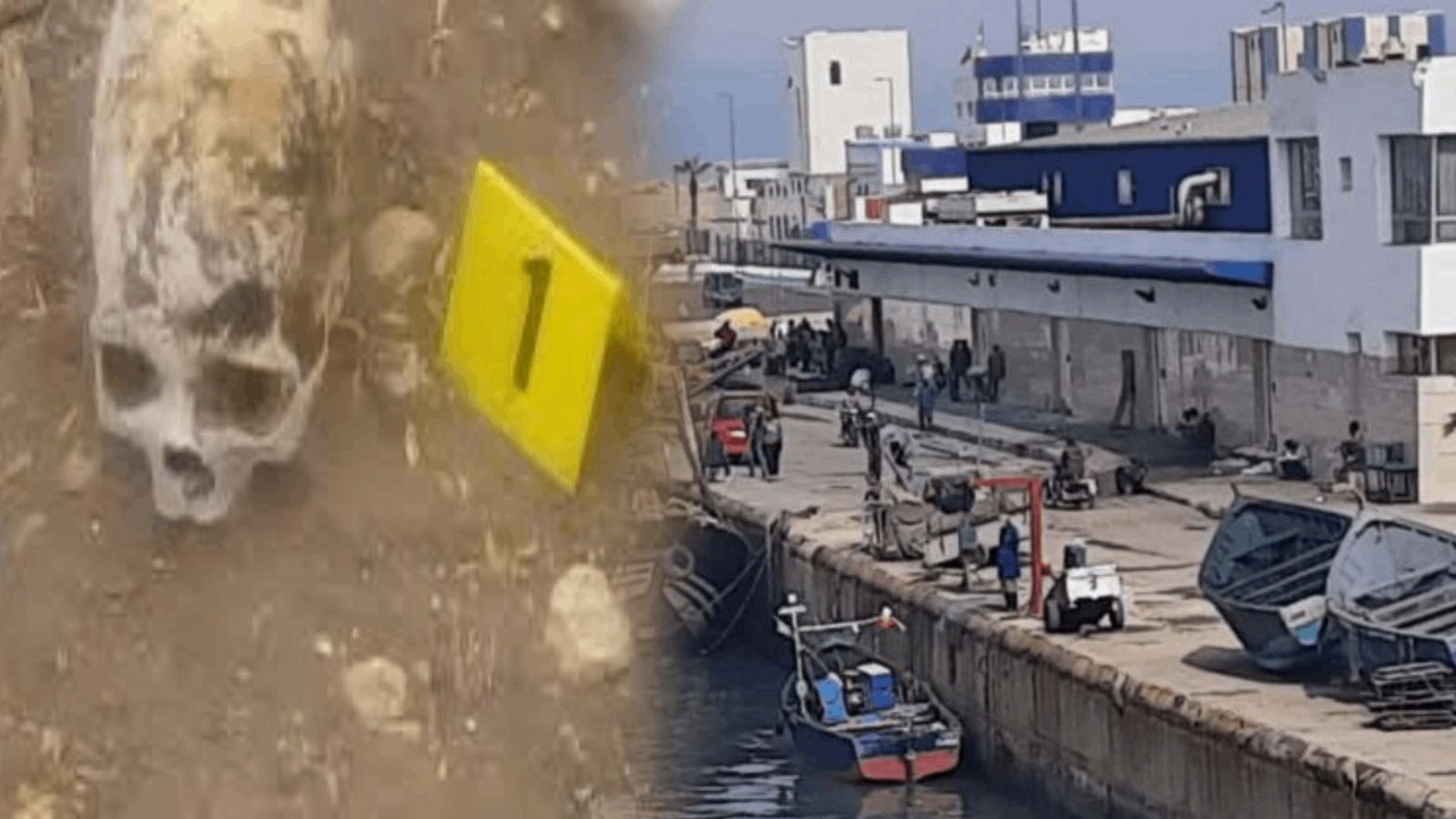 العثور على جمجمة يُشتبه في كونها بشرية بميناء آسفي يستنفر السلطات ويفتح تحقيقًا قضائيًا 1 IMG 20251228 WA00161