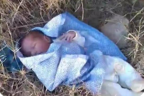 IMG 20251228 WA00221