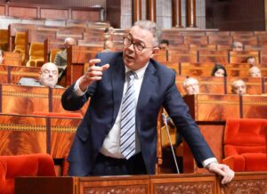 WhatsApp Image 2025 12 08 at 16.16.47 1