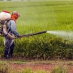 pesticide autisme tsa 750x400 1 660x330 1