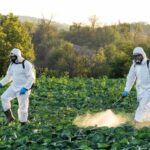 pesticides pulverisation eau 2