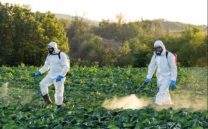 pesticides pulverisation eau 2